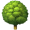 Laubbaum
