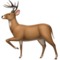 Hirsch