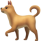 Hund