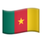 Bayrak: Kamerun