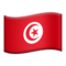 Bayrak: Tunus