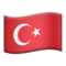 Bayrak: Türkiye