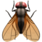Fliege