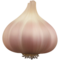 Knoblauch