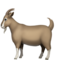Ziege