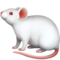 Maus