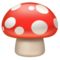 Fliegenpilz