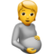 شخص حامل