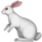 Hase