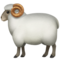 Widder
