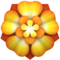 Rosette