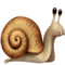 Schnecke