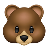 Rosto De Urso
