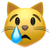 Rosto De Gato Chorando