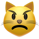 Rosto De Gato Mal-Humorado