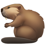 Бобер