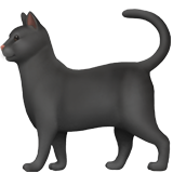 Czarny kot dla Apple iOS 26.4