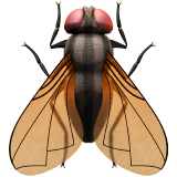 Fly for Apple iOS 26.4