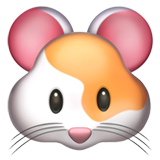 Hamsteri varten Apple iOS 26.4