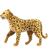 Leopardo para Apple iOS 26.4