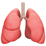Lungs for Apple iOS 26.4