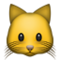 Kedi yüzü