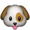 Köpek yüzü