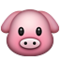 Domuz yüzü