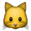 Kedi yüzü Kedi yüzü