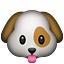 Köpek yüzü Köpek yüzü
