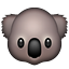 Koala Koala
