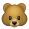 Rosto De Urso