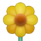 Flor