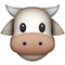 Rosto De Vaca