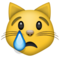 Rosto De Gato Chorando