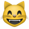 Rosto De Gato Sorrindo Com Olhos Sorridentes