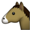 Rosto De Cavalo