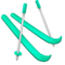 Esqui