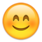 Rosto Sorridente Com Olhos Sorridentes