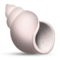Concha Espiral