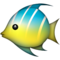 Peixe Tropical