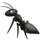 Formiga