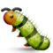 Inseto