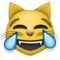 Rosto De Gato Com Lágrimas De Alegria