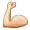 Bíceps