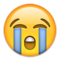 Rosto Chorando Aos Berros