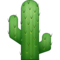 Kaktüs