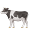 İnek