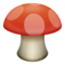 Mantar