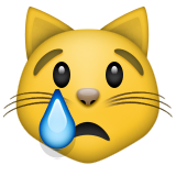 Ağlayan kedi
